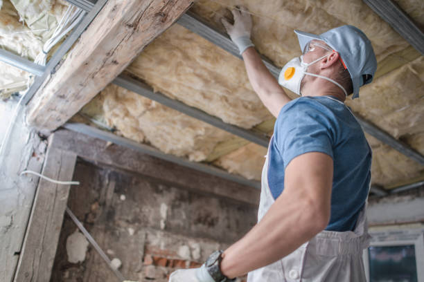Best Residential Insulation in Granger, TX