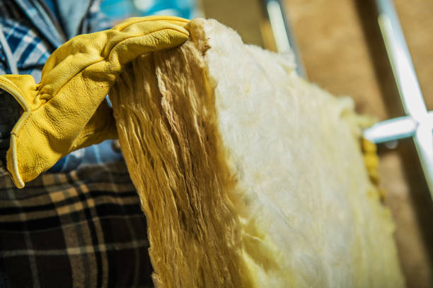Best Insulation Maintenance and Repair in Granger, TX